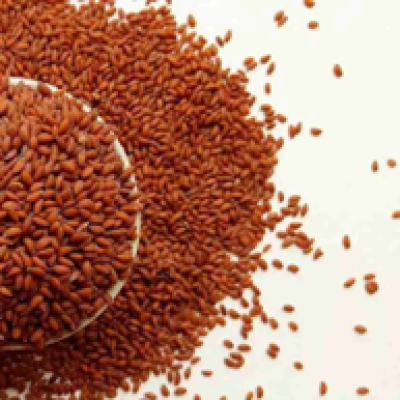 HALIM SEEDS