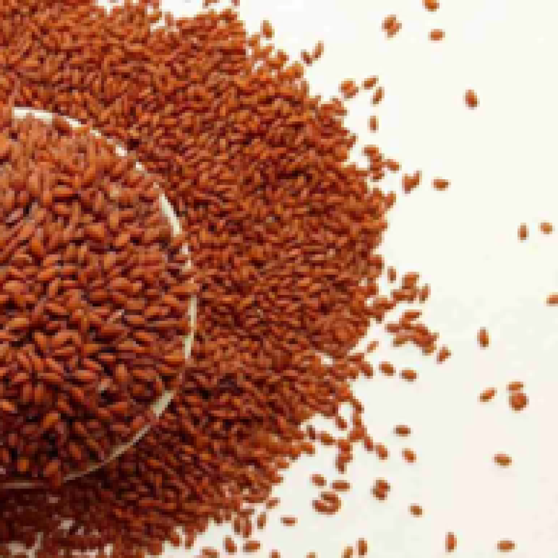 HALIM SEEDS