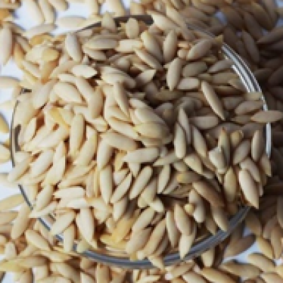 MUSK MILEN SEEDS